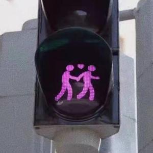 国产高清舔逼视频
