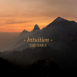 国产高清舔逼视频
